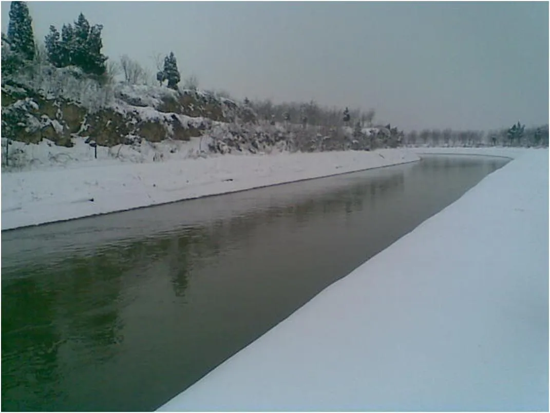 Featured image of post 引渭渠